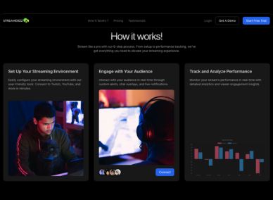 project-details-streamezz-1