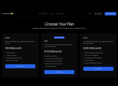 project-details-streamezz-2